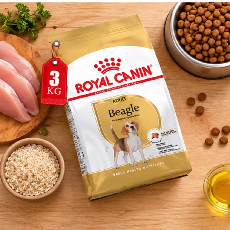 غذای خشک سگ بیگل ادالت رویال کنین 3 کیلوگرم Royal Canin Food
