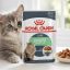 پوچ گربه رویال کنین دایجستیو 85 گرم Royal Canin Pouch