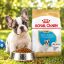 غذای خشک توله سگ فرنچ بولداگ رویال کنین 3 کیلوگرم Royal Canin Food