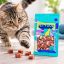 تشویقی گوشتی فانی پت با طعم گوشت گاو و مرغ 100 گرم Funny Pet Snack