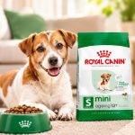 غذای خشک سگ مسن نژاد کوچک رویال کنین 1.5 کیلوگرم Royal Canin Food
