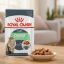 پوچ گربه رویال کنین دایجستیو 85 گرم Royal Canin Pouch