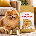 غذای خشک سگ بالغ پامرانین رویال کنین 1.5 کیلوگرم Royal Canin Food
