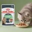 پوچ گربه رویال کنین دایجستیو 85 گرم Royal Canin Pouch