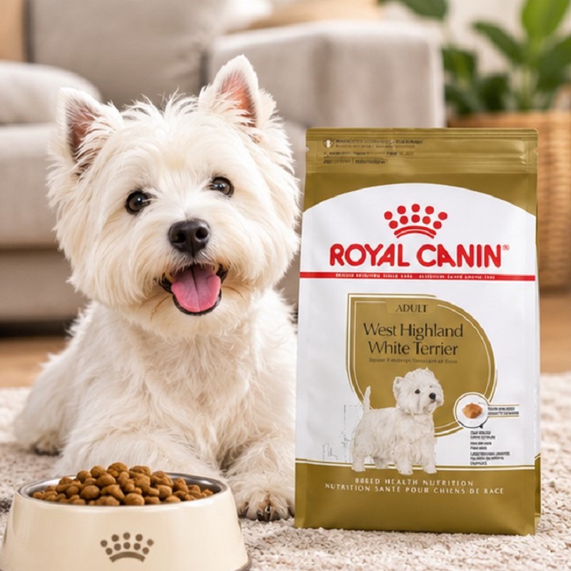 غذای خشک سگ بالغ تریر رویال کنین 1.5 کیلوگرم Royal Canin Food