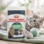 پوچ گربه رویال کنین دایجستیو 85 گرم Royal Canin Pouch