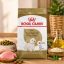 غذای خشک سگ بالغ تریر رویال کنین 1.5 کیلوگرم Royal Canin Food
