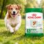 غذای خشک سگ مسن نژاد کوچک رویال کنین 1.5 کیلوگرم Royal Canin Food