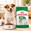 غذای خشک سگ رویال کنین مینی ادالت 2 کیلوگرم Royal Canin Food