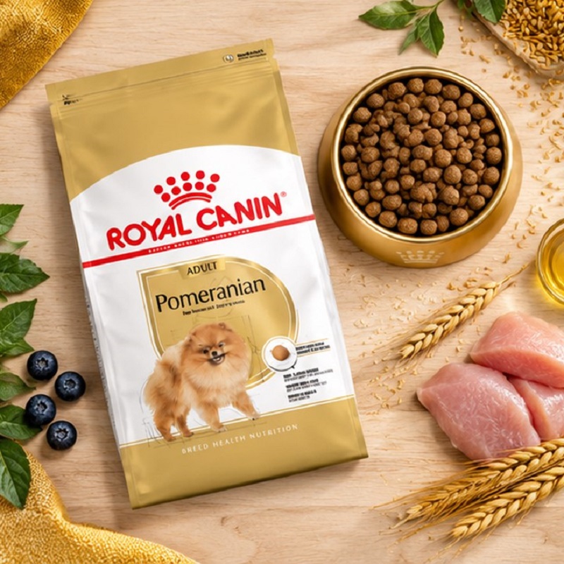 غذای خشک سگ بالغ پامرانین رویال کنین 1.5 کیلوگرم Royal Canin Food