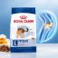 غذای خشک سگ مکسی ادالت رویال کنین 1 کیلوگرم Royal Canin Food