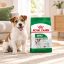غذای خشک سگ رویال کنین مینی ادالت 8 کیلوگرم Royal Canin Food