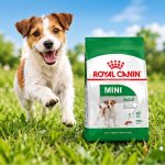 غذای خشک سگ رویال کنین مینی ادالت 1 کیلوگرم Royal Canin Food 1kg