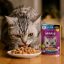 پوچ گربه بالغ با طعم تن ماهی ژله ای ویسکاس 80 گرم Whiskas Pouch