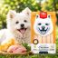 بستنی سگ ونپی با طعم مرغ و پنیر 5 عددی Wanpy Food