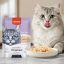 پوچ گربه سوپرپرمیوم ونپی با طعم مرغ و خرچنگ 85 گرم Wanpy Pouch