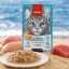 پوچ گربه بالغ با طعم ماهی تن و مرغ ونپی 70 گرم Wanpy Pouch