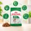 غذای خشک سگ رویال کنین مینی ادالت 1 کیلوگرم Royal Canin Food 1kg