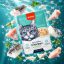 پوچ گربه سوپرپرمیوم ونپی با طعم مرغ و ماهی کاد 85 گرم Wanpy Pouch