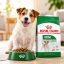 غذای خشک سگ رویال کنین مینی ادالت 1 کیلوگرم Royal Canin Food 1kg