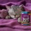 پوچ گربه بالغ با طعم تن ماهی ژله ای ویسکاس 80 گرم Whiskas Pouch