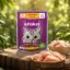 پوچ گربه بالغ با طعم مرغ در سس ویسکاس ۸۰ گرم whiskas Pouch