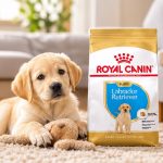 غذای خشک سگ لابرادور رتریور پاپی رویال کنین 3 کیلوگرم Royal Canin Food