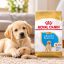 غذای خشک سگ لابرادور رتریور پاپی رویال کنین 3 کیلوگرم Royal Canin Food
