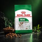 غذای خشک سگ رویال کنین مینی ادالت 8 کیلوگرم Royal Canin Food