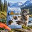 غذای خشک سگ بالغ با طعم ماهی سالمون تیست آف د وایلد 2 کیلوگرم Taste of the Wild Food