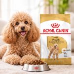 غذای خشک سگ پودل بالغ رویال کنین 1.5 گرم Royal Canin Food