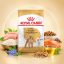 غذای خشک سگ پودل بالغ رویال کنین 1.5 گرم Royal Canin Food