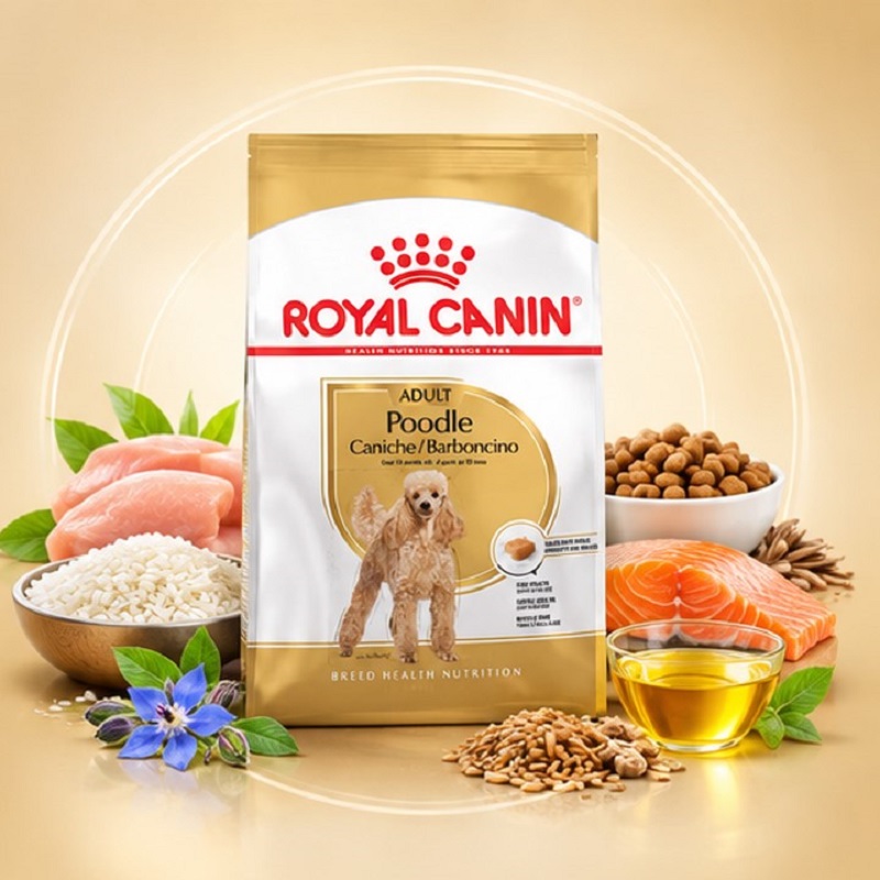 غذای خشک سگ پودل بالغ رویال کنین 1.5 گرم Royal Canin Food