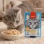 پوچ گربه بالغ با طعم مرغ ونپی 70 گرم Wanpy Pouch