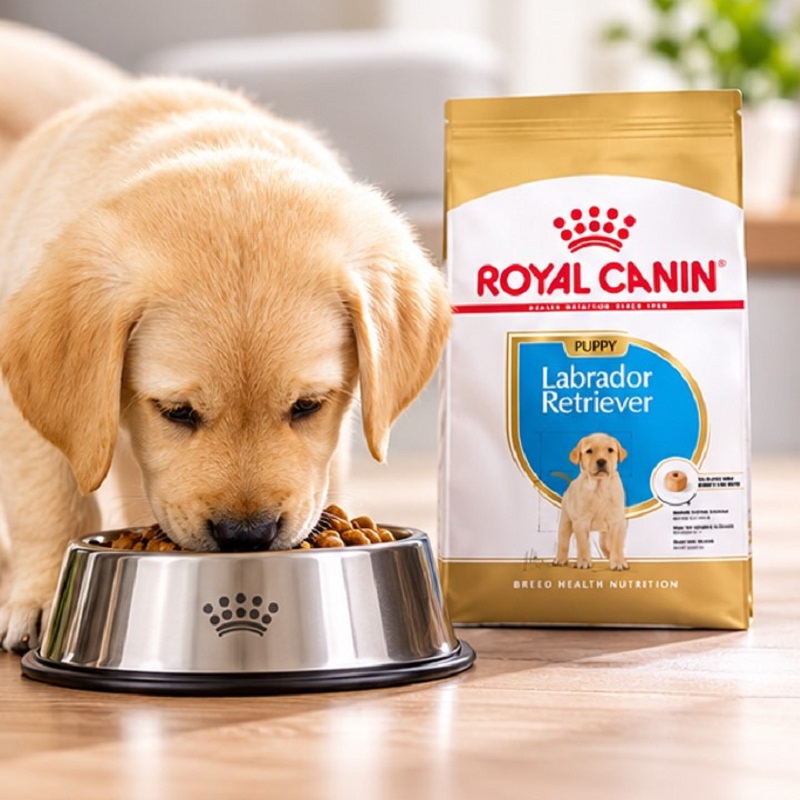 غذای خشک سگ لابرادور رتریور پاپی رویال کنین 3 کیلوگرم Royal Canin Food
