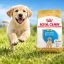 غذای خشک سگ لابرادور رتریور پاپی رویال کنین 3 کیلوگرم Royal Canin Food