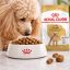 غذای خشک سگ پودل بالغ رویال کنین 1.5 گرم Royal Canin Food