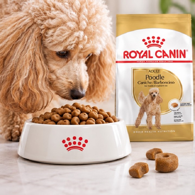 غذای خشک سگ پودل بالغ رویال کنین 1.5 گرم Royal Canin Food