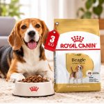 غذای خشک سگ بیگل ادالت رویال کنین 3 کیلوگرم Royal Canin Food