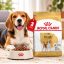 غذای خشک سگ بیگل ادالت رویال کنین 3 کیلوگرم Royal Canin Food
