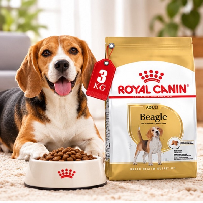 غذای خشک سگ بیگل ادالت رویال کنین 3 کیلوگرم Royal Canin Food