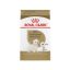 غذای خشک سگ بالغ تریر رویال کنین 1.5 کیلوگرم Royal Canin Food