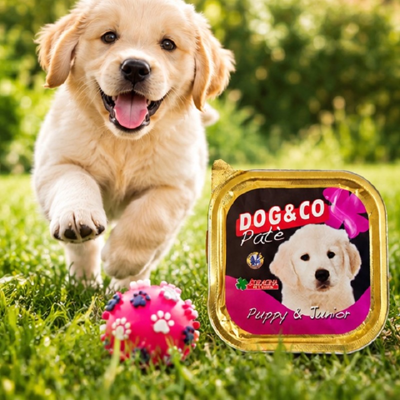 کنسرو سگ با طعم مرغ و گوشت گوساله داگ اند کو ۱۵۰ گرم Dog & Co Food
