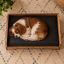 مبل و تخت چوبی لوکس بادی برای گربه و سگ کوچک Sofa and Bed Buddy