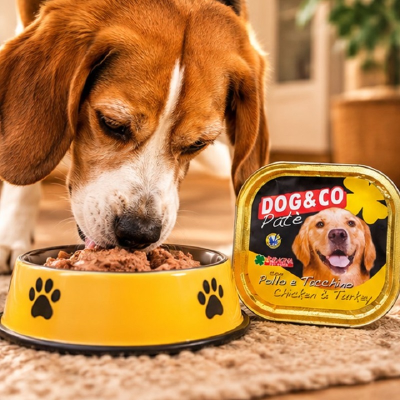 کنسرو سگ با طعم مرغ و بوقلمون داگ اند کو 300 گرم Dog & Co Food