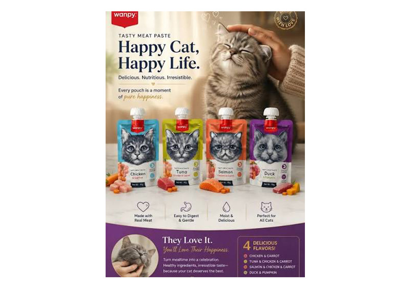 پودینگ گربه ونپی 4 طعم 360 گرم Wanpy Pudding